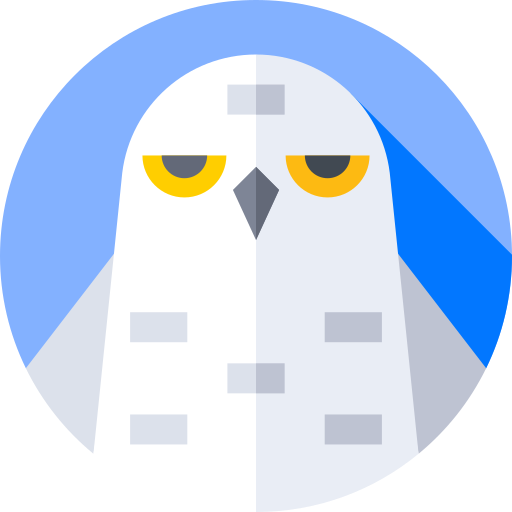 Nyctea Documentation
